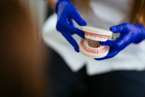 Best Wisdom Tooth Removal  in Junction City, KY