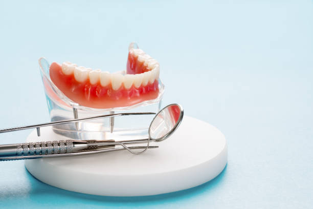 Best Traditional Braces  in Junction City, KY